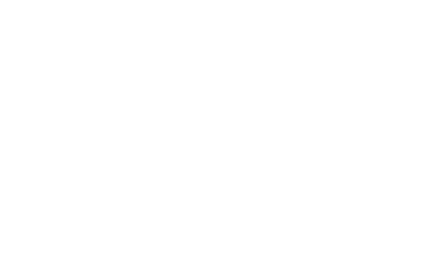 modulopedaleacceleratore.com