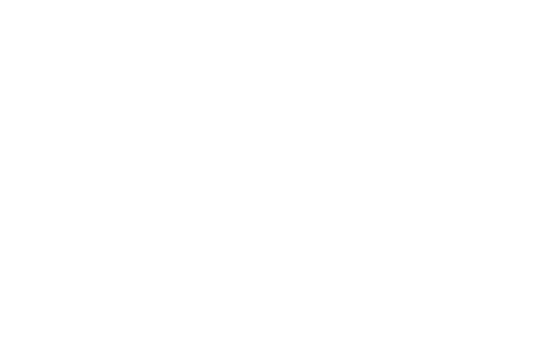 auto-adrenalina.com