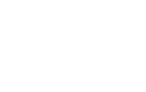 lacentralinaaggiuntiva.it